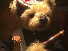 -济州岛泰迪熊博物馆