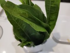-清真军邺·金富苑肥牛城(海湖新区精品店)