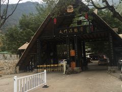 -天门沟九州驿站树上汤泉
