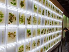 -广东中医药博物馆