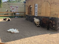 -HERRE·FARM 赫尔露营农场·团建聚会包场