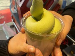 -萨朗刀克冰淇淋雪花凉(植物园店)