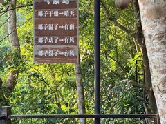 -呀诺达热带雨林