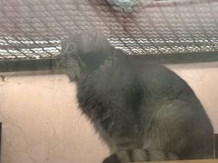 -青藏高原野生动物园