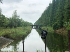 -黄海国家森林公园