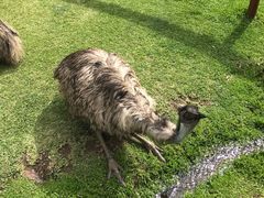 -可伦宾野生动物保护区