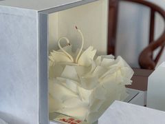 -BLACKSWAN黑天鹅(环球店)