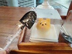 -柴犬高等学院·狗咖·柴犬售卖·宠物训练