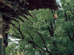 -报恩寺(平武县)