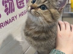 -哆趣宠物医院·眼科·内镜·急重症转诊中心(上海店)