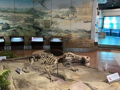 -自贡恐龙博物馆