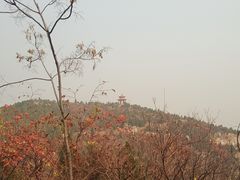 -府君山公园