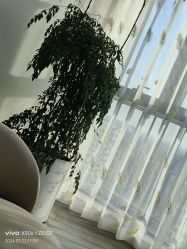 -HEYAN荷妍专业脱毛连锁机构