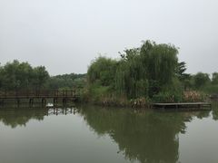 -梁鸿国家湿地公园