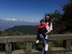 -武陵山森林公园