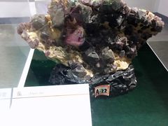 -中国第四纪冰川遗迹陈列馆