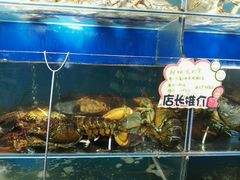 -蚝专家(北滘店)