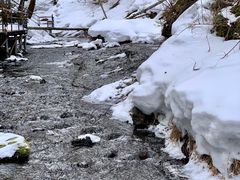 -峡谷浮石林景区