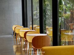 -Soloist 独奏公司(798店)