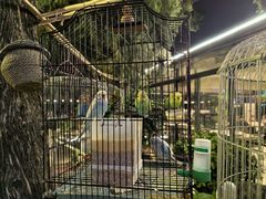 -蘇河湾·新鲁菜·泰山宴(泰山店)