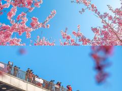 -福建千里香馄饨王(新昌路店)