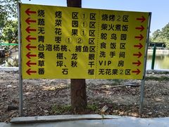 -新塘水果乐园(东洲大道店)
