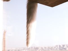 -猫的茶·猫咖