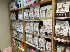 -中农大我爱我爱24h动物医院·中医针灸·猫专科·骨科医疗中心(双井店)