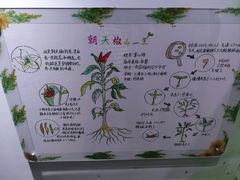 -上海昆虫博物馆