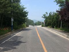 -棒棰岛宾馆景区