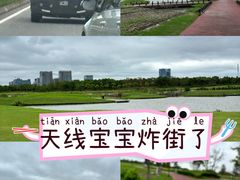 -春花秋色城市公园