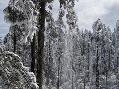 -瓦屋山景区