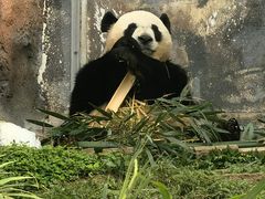 -石排湾郊野公园