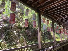 -九鲤湖风景区