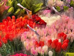 -循礼门鲜花花市(武汉循礼门店)