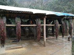 -新安江山水画廊风景区