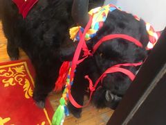 -后院犇牛主题餐厅(云岗店)