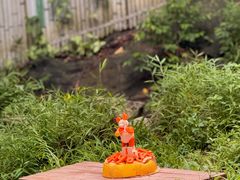 -广州长隆野生动物世界