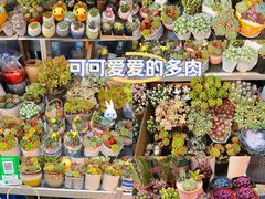 -双季花艺园艺市场(浦东店)