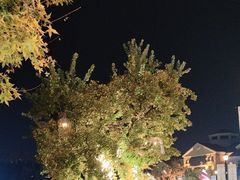 -王府井奥莱棋盘山小镇