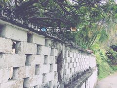 -南丫岛