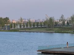 -北龙湖湿地公园