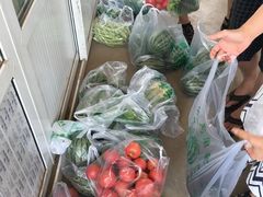 -庞各庄翠芳园西瓜蔬菜基地采摘园