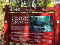 -大围山国家森林公园