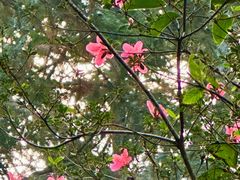 -东天目山风景区