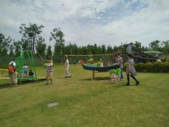 -上海长兴岛郊野公园