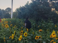 -北陵公园