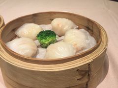 -陶陶居海鲜酒家(新马路店)