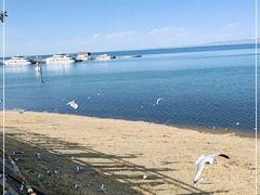-青海湖国家重点风景名胜区
