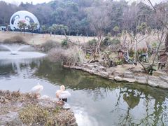 -红山森林动物园
